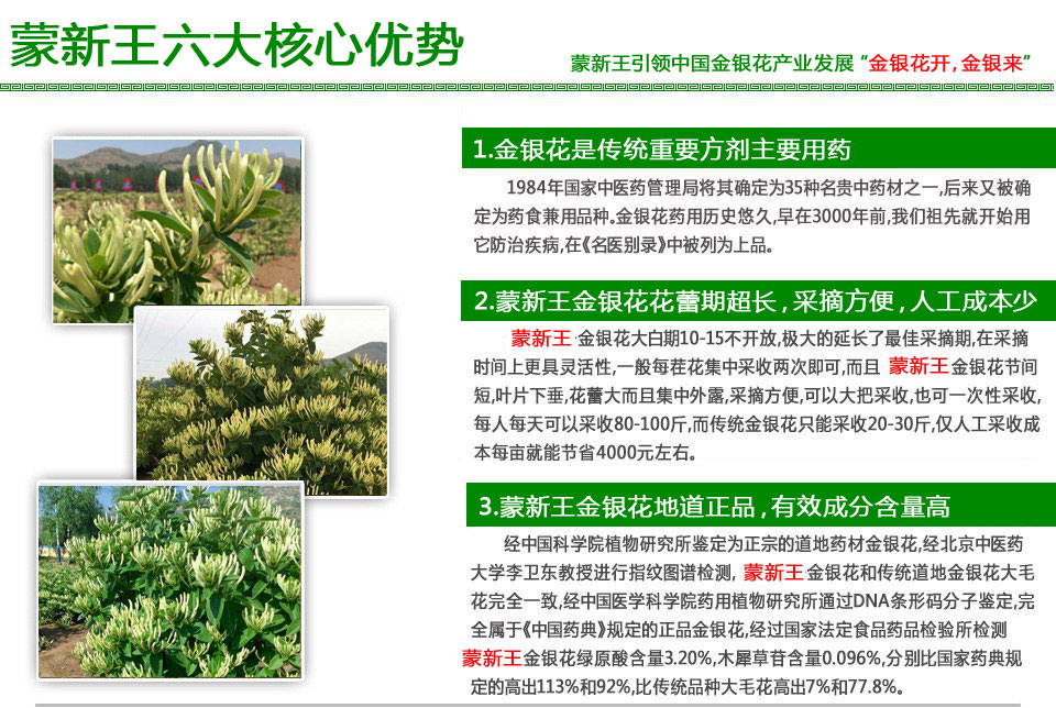 蒙新王的优势
