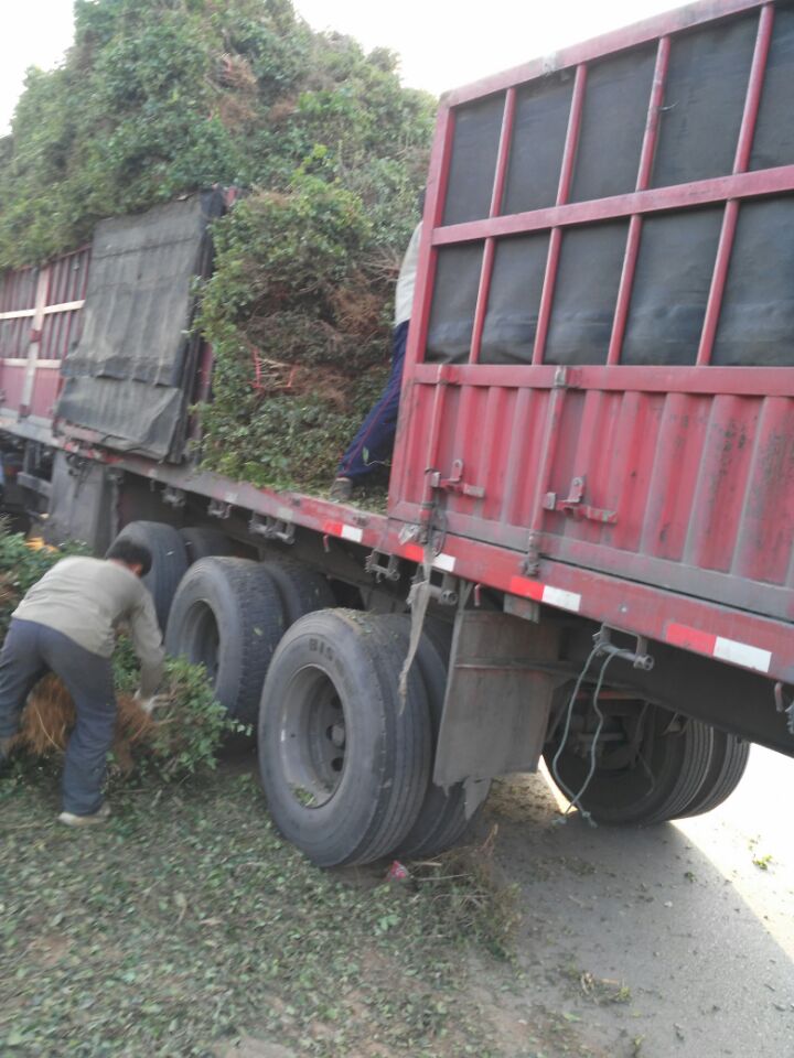 正在装车